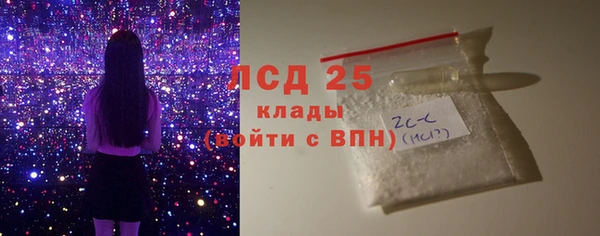 шишки Беломорск