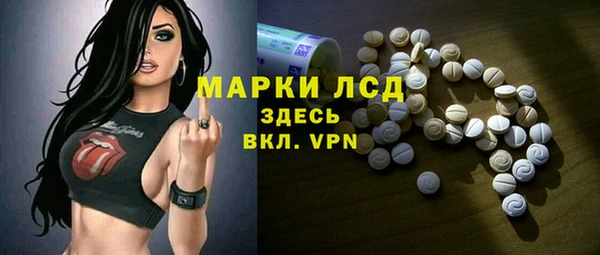 шишки Беломорск